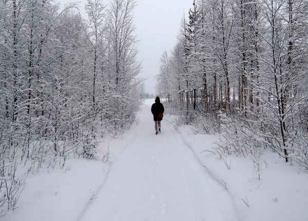 Lapland (deel 1): de goede kant van de noordpoolcirkel