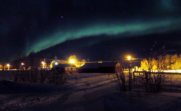 Lapland (deel 2): over het noorderlicht, of: voetballen met een walrusschedel